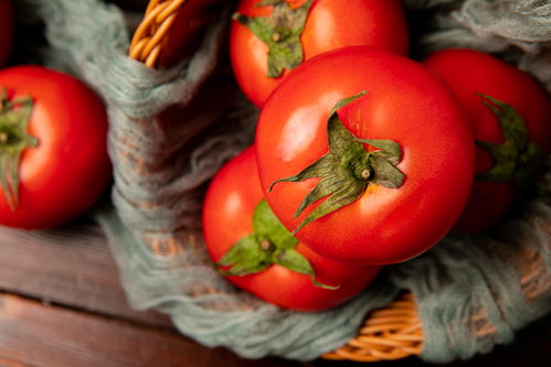 番茄 从红润果实到营养餐桌——兼谈微生物肥料的应用