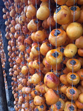 晒柿饼图片素材 有机肥料在食品餐饮中的自然与健康之美