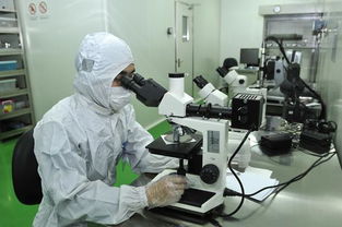 印刷电子材料、技术与应用 计算机信息技术的融合创新